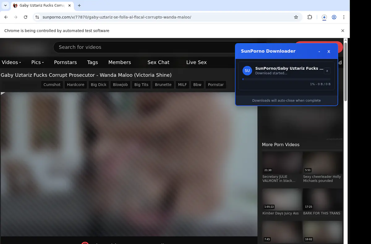 Sunporno Video Downloader screenshot 3