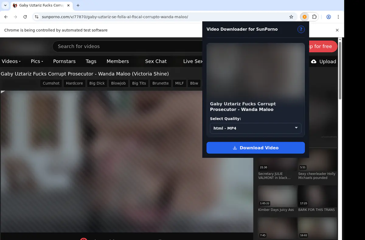Sunporno Video Downloader screenshot 4