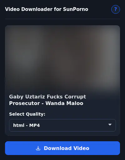 Sunporno Video Downloader screenshot 6